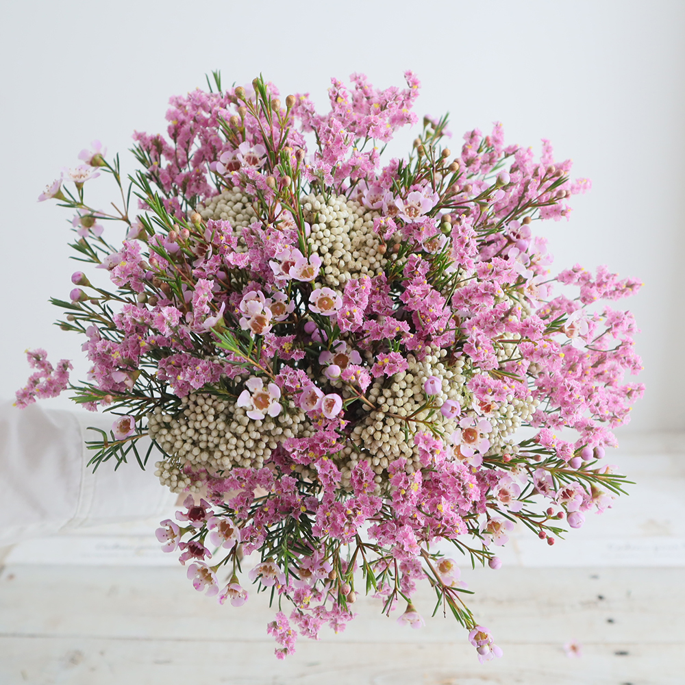 直前!!!】ワックスフラワー(ライトピンク系)輸入 50cm程度 - 花材通販