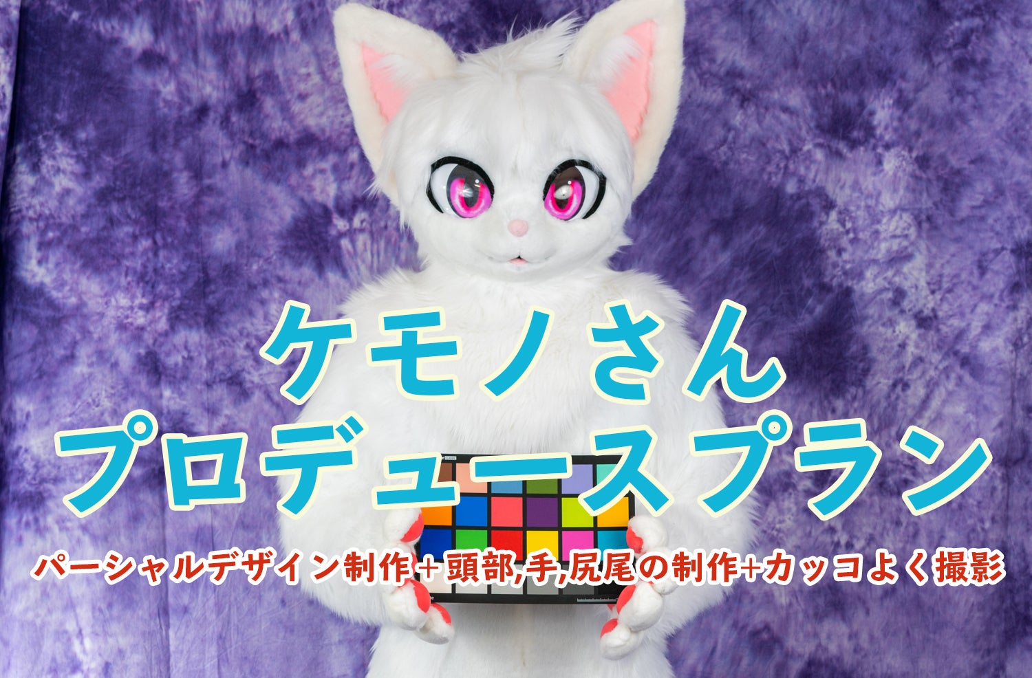 パーシャル(ハーフ)スーツ制作プランについて文章の修正を行いました