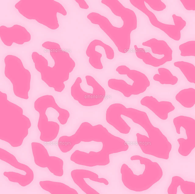 ピンクのヒョウ柄[10169000396]の写真・イラスト素材｜アマナイメージズ