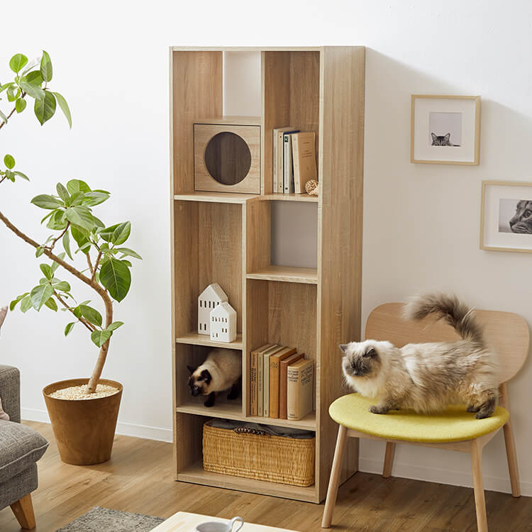 キャットウォーク付き壁面本棚 収納棚 リバーシブル 木製 [幅60