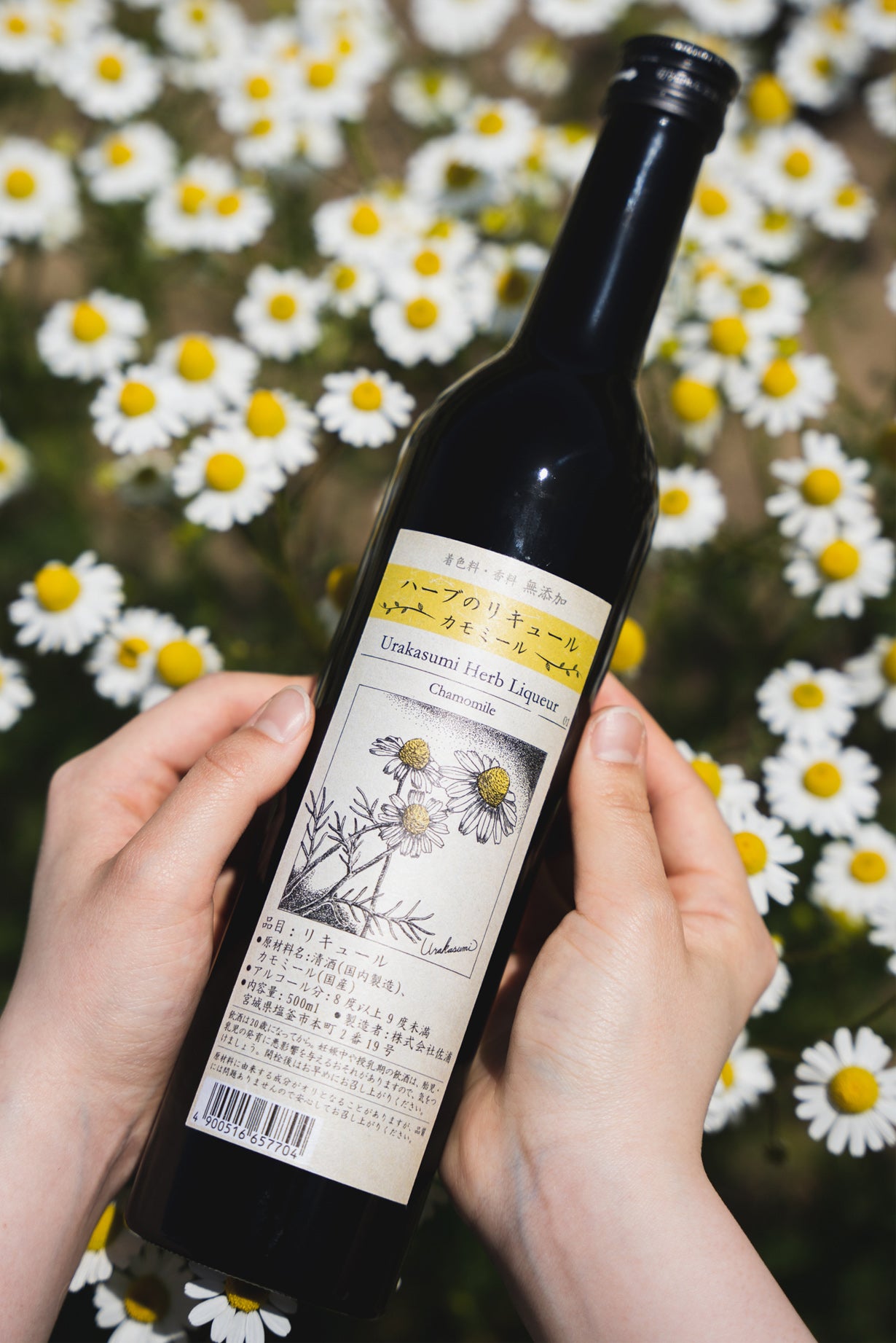 浦霞の初挑戦！カモミール香る、ハーブと日本酒の新ハーモニー