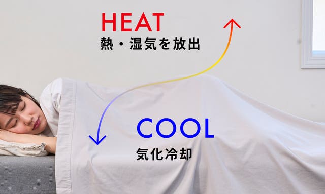 内閣総理大臣賞受賞技術カバロス！ウルトラフリーザーブランケット2.0