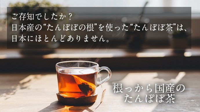 根っから国産のたんぽぽ茶」たんぽぽ農家が育てた たんぽぽの根が原料