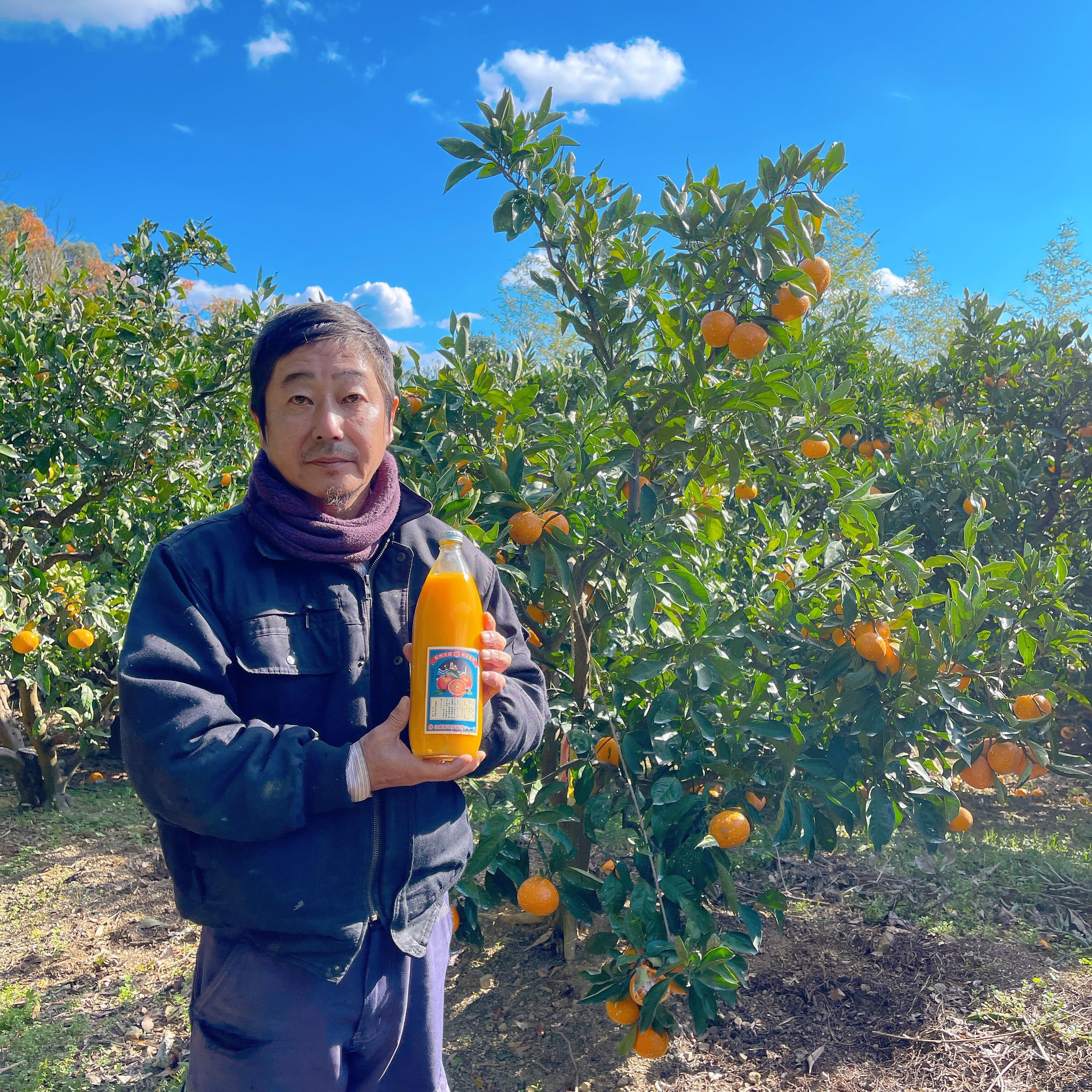みかんの王様「宮川早生」栽培一筋60年の農家がつくる至高の頑固みかん