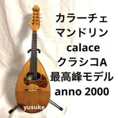 カラーチェマンドリン calace クラシコA anno 2000 - メルカリ