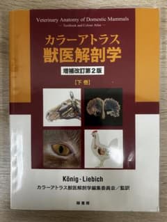 カラ―アトラス獣医解剖学 増補改訂第2版 [下巻] - メルカリ