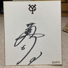 m47240034136_1.jpg?1716209502