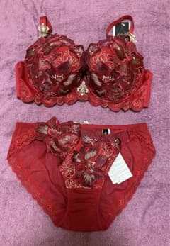 サルート F75 ブラ ショーツ 店舗限定 29 - メルカリ