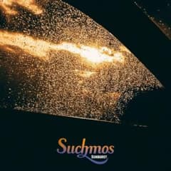 SUNBURST Suchmos サチモス レコード LP 完全生産限定盤 - メルカリ