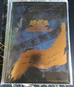 郵便局限定 遊戯王 青眼の白龍 浮世絵風 25周年記念 ブルーアイズ 新品