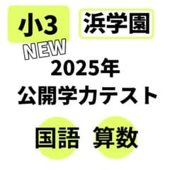 浜学園 2025年 小3 国語 算数 2科目 即発送 公開学力テスト 最新