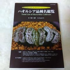 m43877226553_1.jpg?1685323020