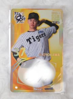 m56454503218_1.jpg?1750991727