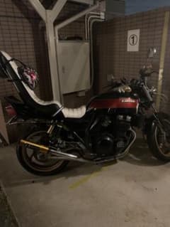 m57676813542_1.jpg?1747261292