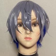 にじさんじ 小柳ロウ コスプレ ウィッグ - メルカリ