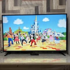 IRIS OHYAMA 55インチ 4K液晶テレビ 2020年製 セミジャンク | Shop at