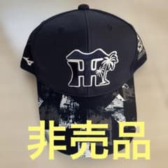 m66888769804_1.jpg?1754731415