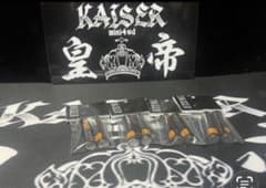 3月31日発送KAISER春分の日SALEネオチャンプ8本セット ミニ四駆