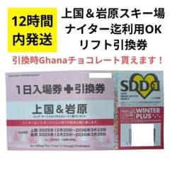 12H内発送】 岩原スキー場 上越国際スキー場 リフト券 1日券 引換券 1