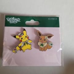 ポケパークカントー ピカチュウ・イーブイ ピンズセット - メルカリ