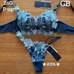 新作 サルート 26 GB P-upブラ&ソング - メルカリ