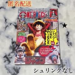 シュリンクなし ワンピースマガジン20号 ルフィ プロモカード付 ①