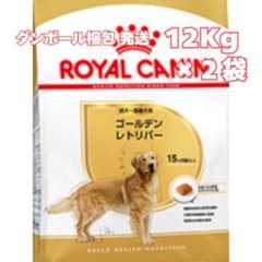 ロイヤルカナン ゴールデンレトリバー 成犬～高齢犬用【12キロ】×2