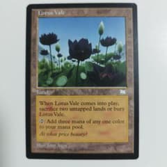 MTG 水蓮の谷間 英語 NM - メルカリ