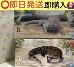 爬虫類&両生類～Tiny Friends～vol.2 ラストワン+B賞2セット - メルカリ