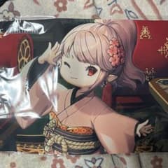 m79585266621_1.jpg?1764327674