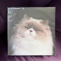 カネコアヤノ 『燦々』 LPレコード 1stプレス - メルカリ