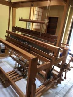 m84616762156_1.jpg?1725256788