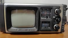 m86389818933_1.jpg?1742896512