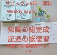 m86413735229_1.jpg?1718550742