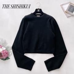 美品✨THE SHISHIKUI シシクイ ウールカシミヤ クルーネックニット