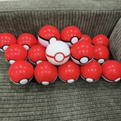 ポケパークカントー ピンズ モンスターボール19個 プレミアボール1個