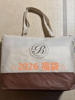 ⭐︎2026 グレディブリリアン 福袋⭐︎ - メルカリ