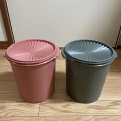 ☆タッパーウェア❗️マキシデコレーター.2個セット❗️サーモン&モス