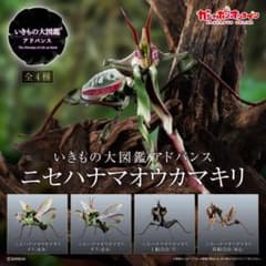 シ*ン様 いきもの大図鑑アドバンス ニセハナマオウカマキリ