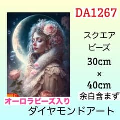 DA1267☆ダイヤモンドアートキット☆月夜の淑女 - メルカリ