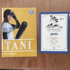 2026年最新】大谷 観戦証明書の人気アイテム - メルカリ