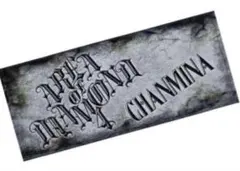 2026年最新】CHANMINAの人気アイテム - メルカリ