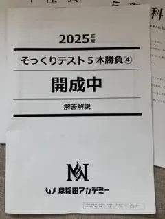 2026年最新】そっくりテスト￼￼￼5本勝負の人気アイテム - メルカリ
