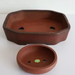 2026年最新】中国 植木鉢 朱泥の人気アイテム - メルカリ