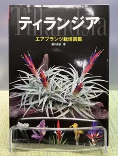 2026年最新】ティランジア 本の人気アイテム - メルカリ