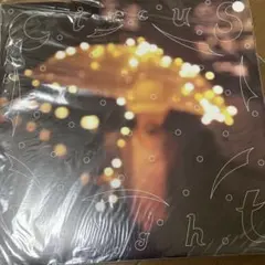 2026年最新】サーカスナイト 七尾旅人の人気アイテム - メルカリ