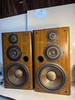 2026年最新】DS-200Z DIATONEの人気アイテム - メルカリ