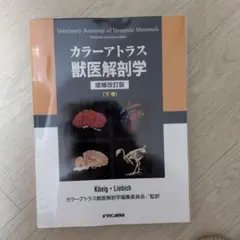 2026年最新】カラーアトラス獣医解剖学〈下巻〉の人気アイテム - メルカリ