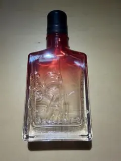 2026年最新】ホリスター HOLLISTER SOCALの人気アイテム - メルカリ