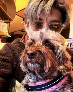 2026年最新】love ear art キムタクの人気アイテム - メルカリ